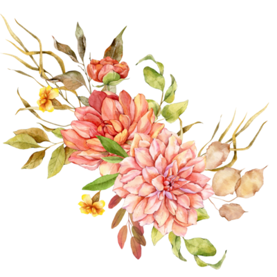 decoração de planta